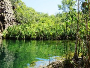 Maguk Gorge - bottom pool and falls. Fantastic place to swim and relax with a good book