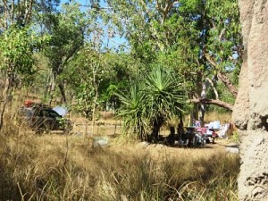 Our secluded campsite