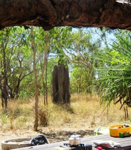 Our campsite with our own termite mound!