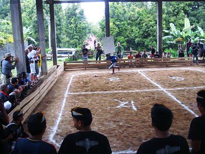 Web Bali Game